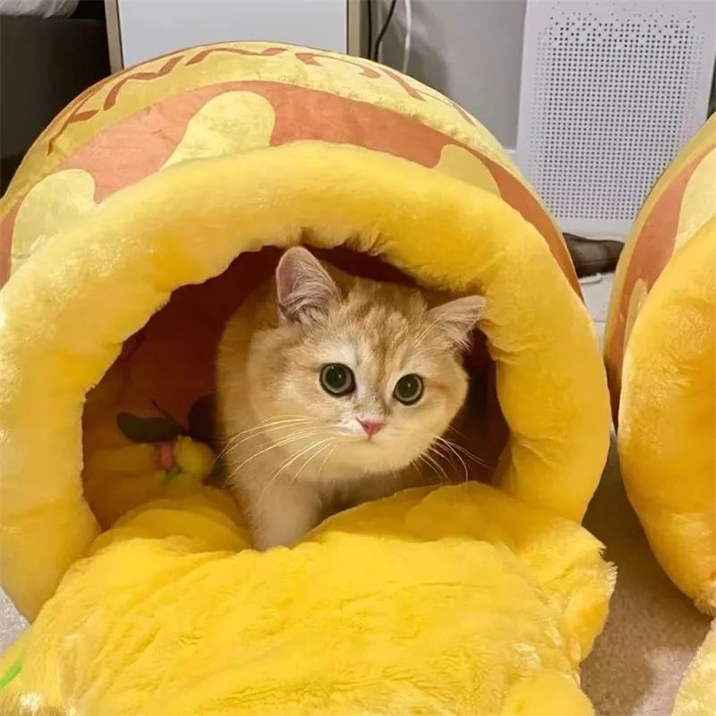 Cama para mascotas con forma de tarro de miel
